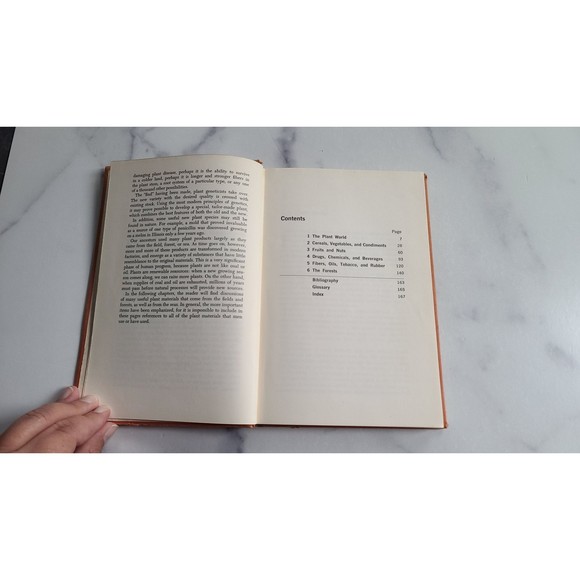 Our Plant Resources - Picture 5 of 10